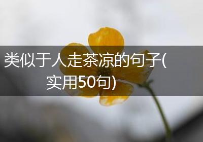 类似于人走茶凉的句子(实用50句)