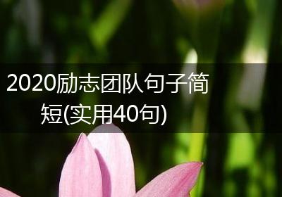 2020励志团队句子简短(实用40句)