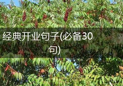 经典开业句子(必备30句)