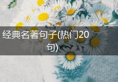 经典名著句子(热门20句)