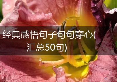 经典感悟句子句句穿心(汇总50句)