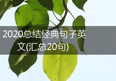 2020总结经典句子英文(汇总20句)