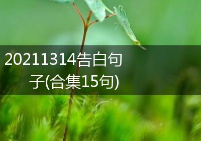 20211314告白句子(合集15句)