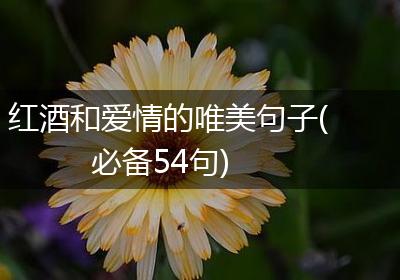 红酒和爱情的唯美句子(必备54句)