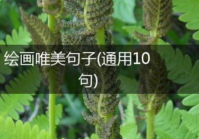 绘画唯美句子(通用10句)