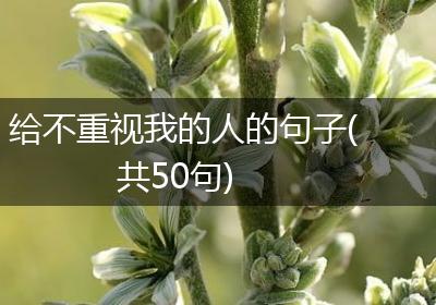 给不重视我的人的句子(共50句)