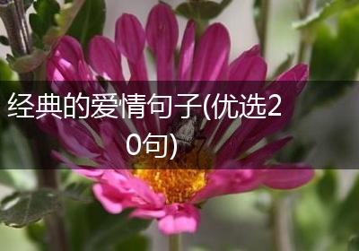 经典的爱情句子(优选20句)
