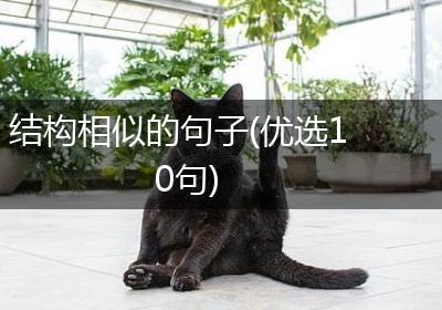 结构相似的句子(优选10句)