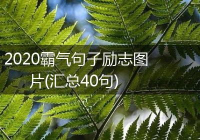 2020霸气句子励志图片(汇总40句)