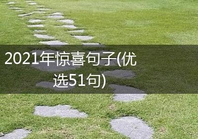 2021年惊喜句子(优选51句)