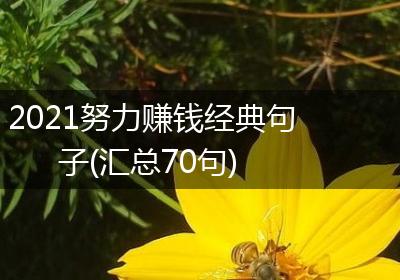 2021努力赚钱经典句子(汇总70句)