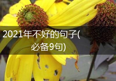 2021年不好的句子(必备9句)