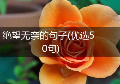 绝望无奈的句子(优选50句)