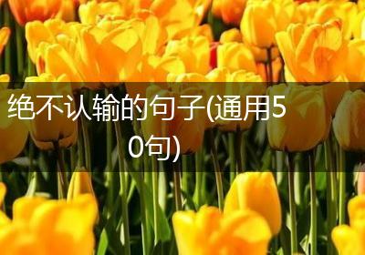 绝不认输的句子(通用50句)