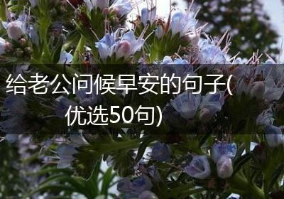 给老公问候早安的句子(优选50句)