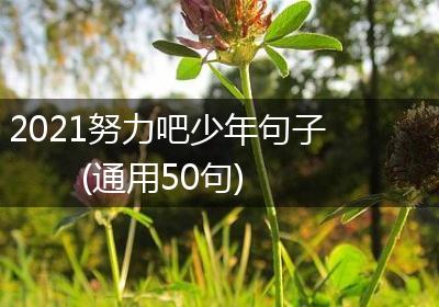 2021努力吧少年句子(通用50句)