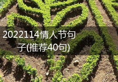 2022114情人节句子(推荐40句)
