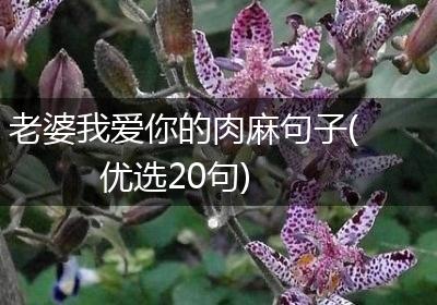 老婆我爱你的肉麻句子(优选20句)