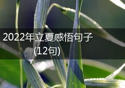 2022年立夏感悟句子(12句)