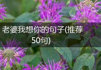 老婆我想你的句子(推荐50句)