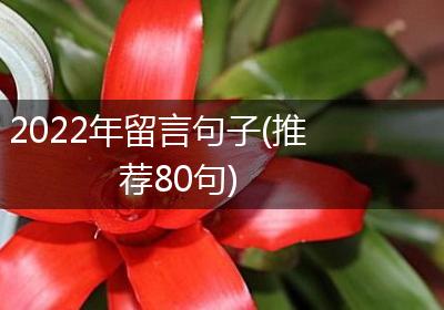 2022年留言句子(推荐80句)