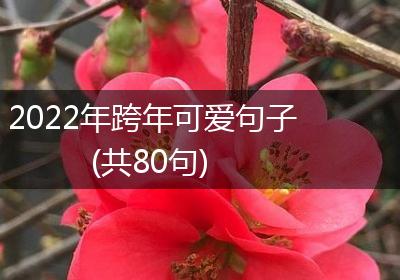 2022年跨年可爱句子(共80句)