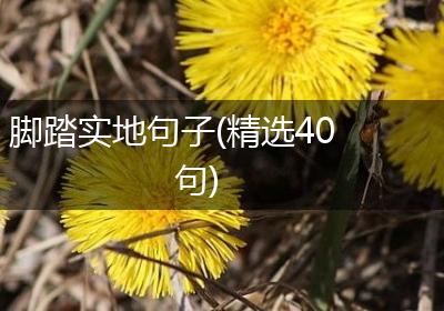 脚踏实地句子(精选40句)
