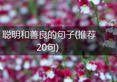 聪明和善良的句子(推荐20句)