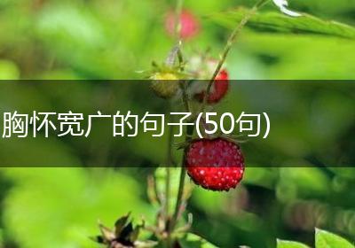 胸怀宽广的句子(50句)