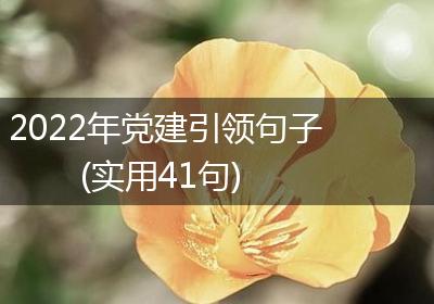 2022年党建引领句子(实用41句)