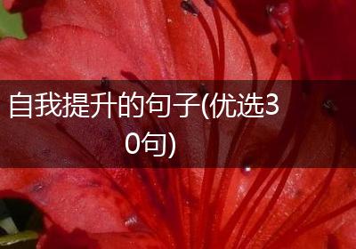 自我提升的句子(优选30句)
