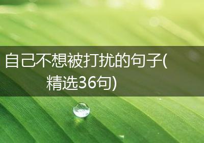 自己不想被打扰的句子(精选36句)