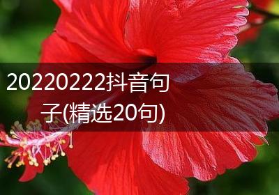 20220222抖音句子(精选20句)