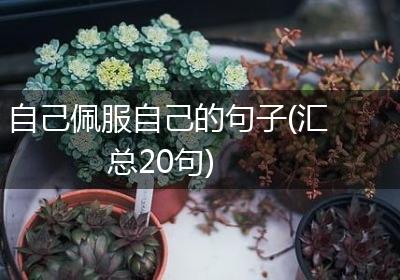 自己佩服自己的句子(汇总20句)