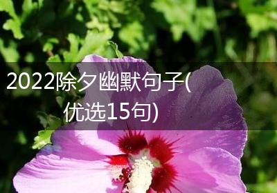 2022除夕幽默句子(优选15句)