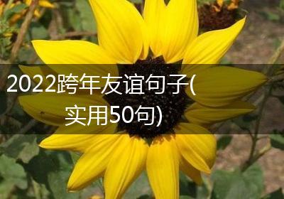 2022跨年友谊句子(实用50句)