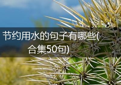 节约用水的句子有哪些(合集50句)