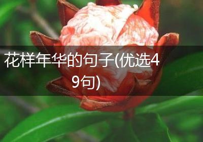 花样年华的句子(优选49句)