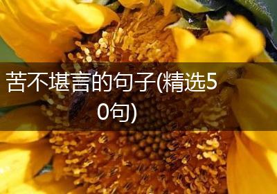 苦不堪言的句子(精选50句)