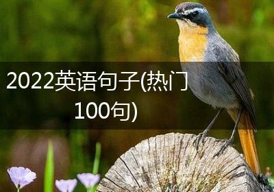 2022英语句子(热门100句)