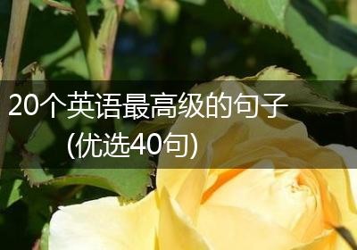 20个英语最高级的句子(优选40句)