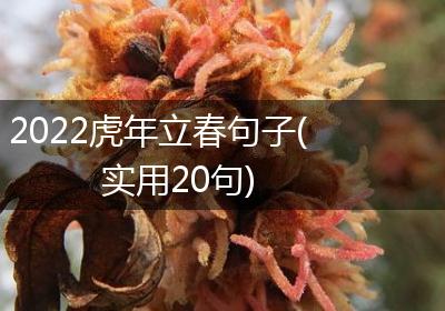 2022虎年立春句子(实用20句)