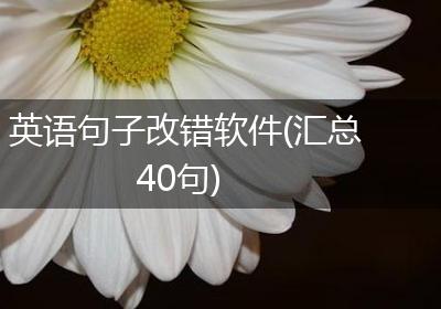 英语句子改错软件(汇总40句)