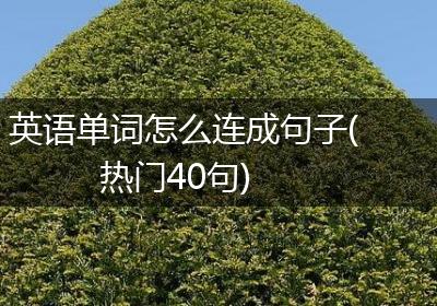 英语单词怎么连成句子(热门40句)