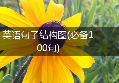 英语句子结构图(必备100句)