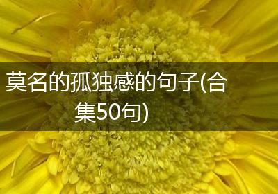 莫名的孤独感的句子(合集50句)