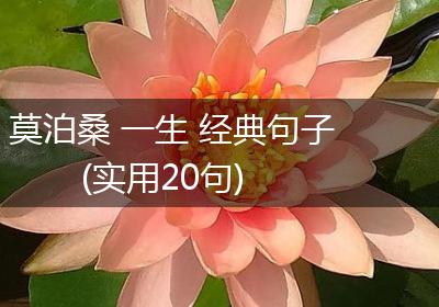 莫泊桑 一生 经典句子(实用20句)