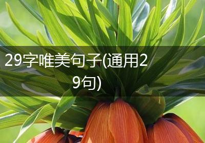 29字唯美句子(通用29句)