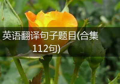 英语翻译句子题目(合集112句)