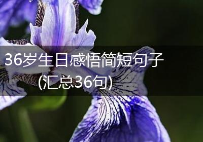 36岁生日感悟简短句子(汇总36句)